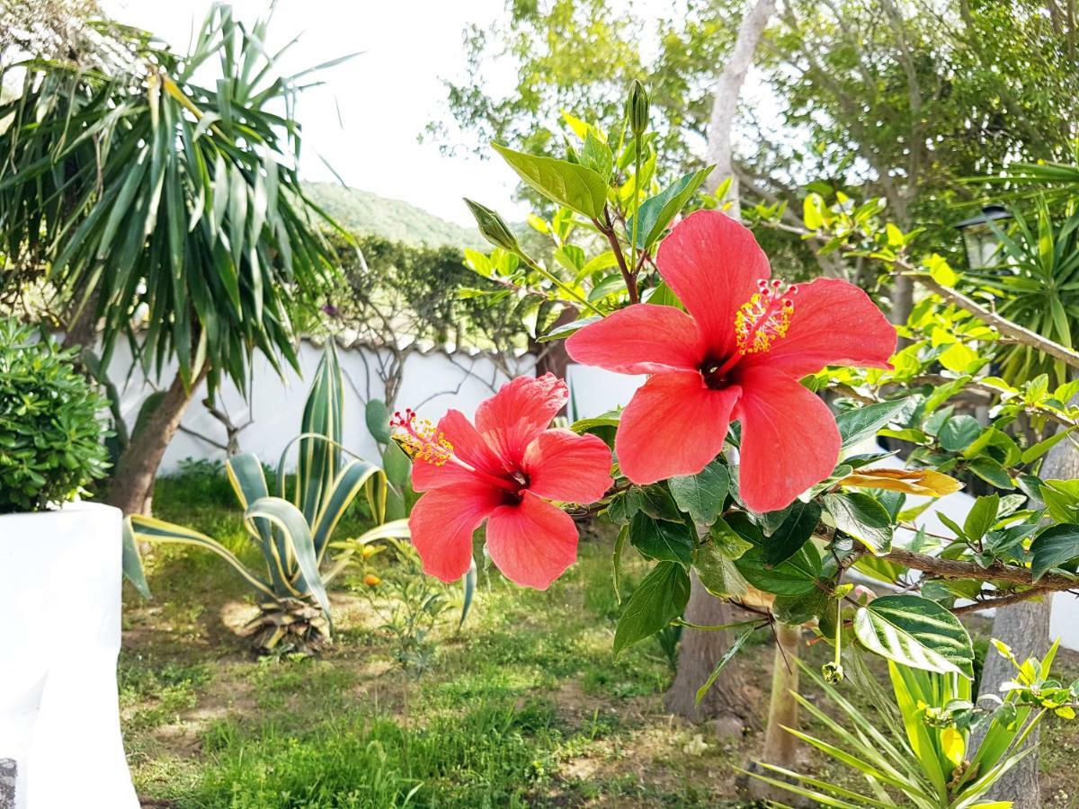 Villa Del Sogno Parghelia Ngoại thất bức ảnh